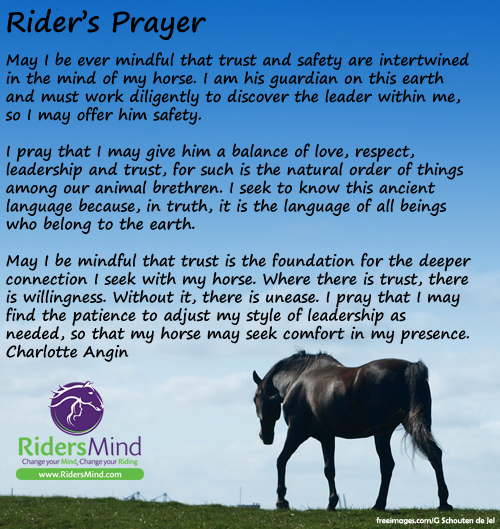 RidersMindCom9Sep15
